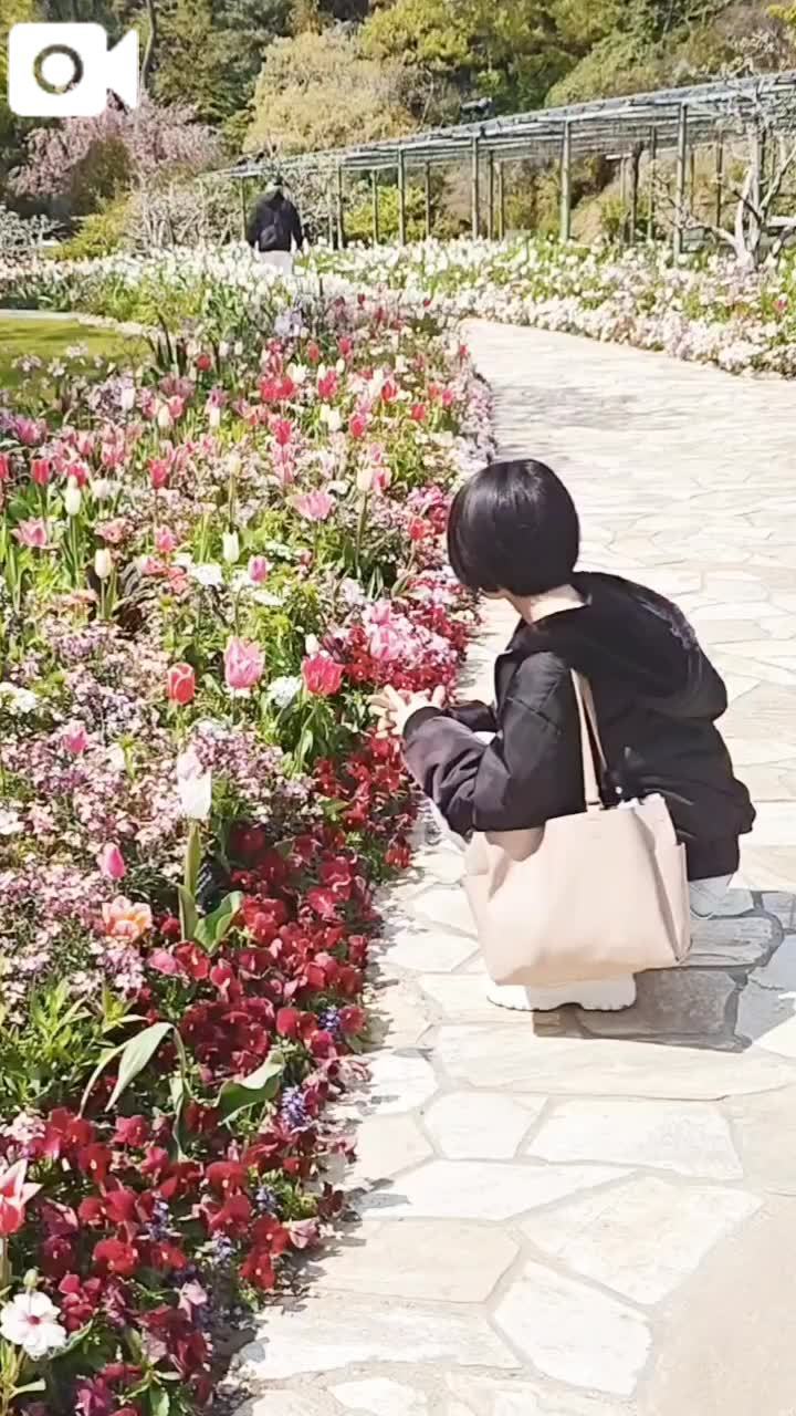 女の子画像