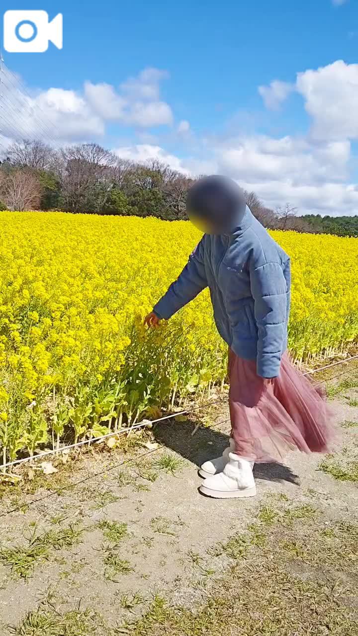 女の子画像