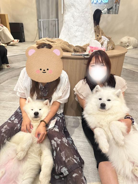 女の子画像