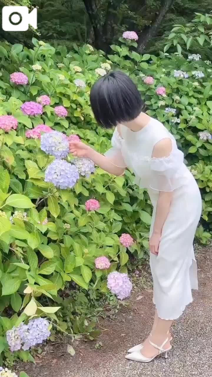 女の子画像