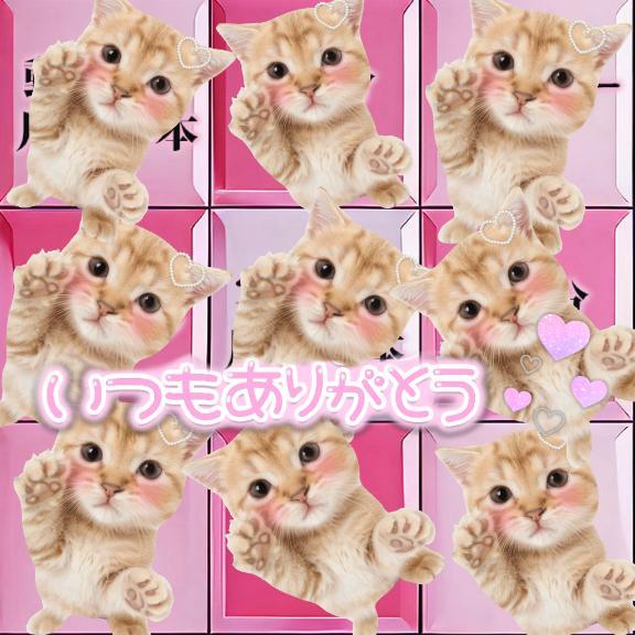 女の子画像