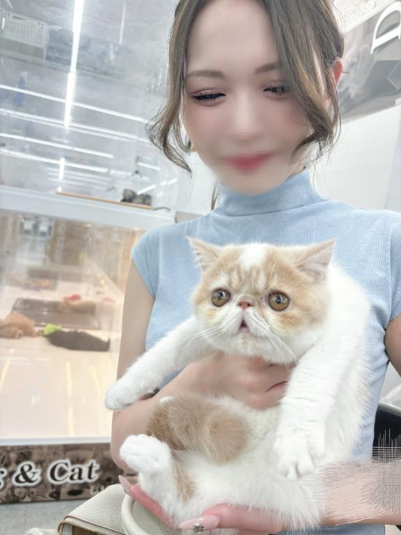 女の子画像