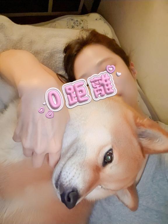女の子画像