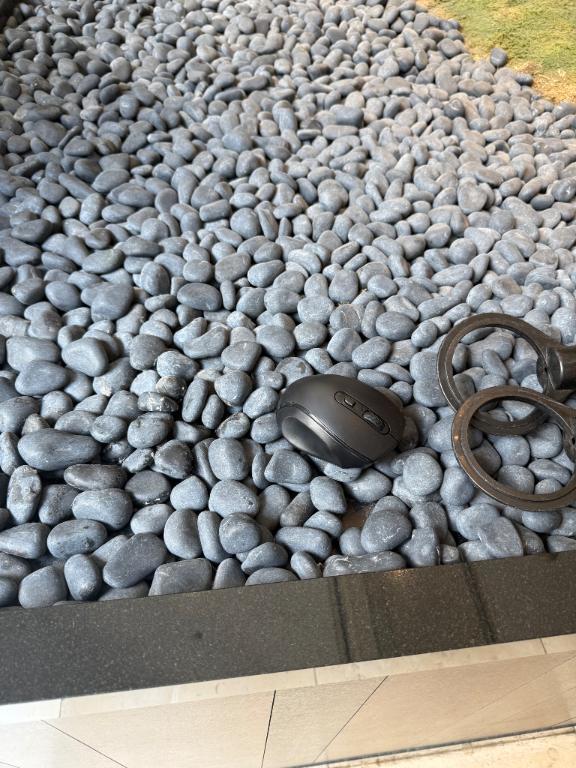 女の子画像 女の子画像