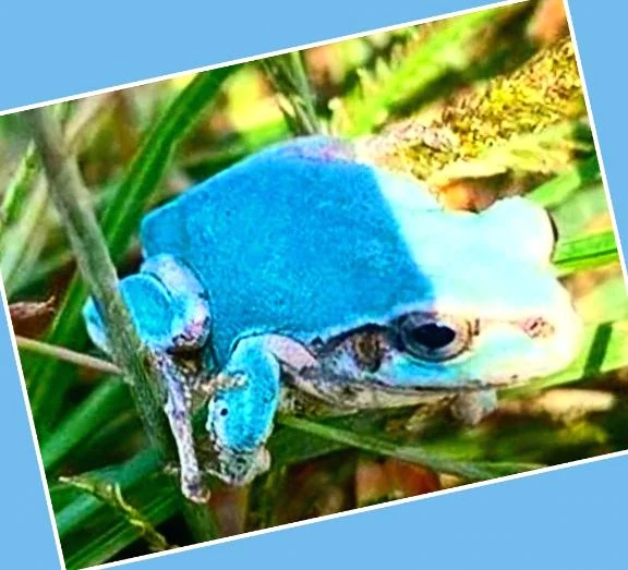 女の子画像 女の子画像