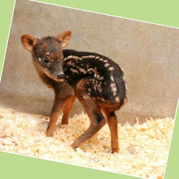 女の子画像 女の子画像