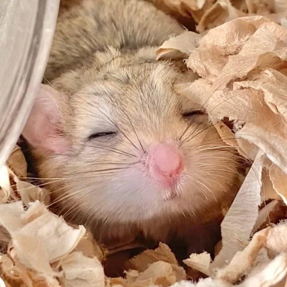 女の子画像 女の子画像