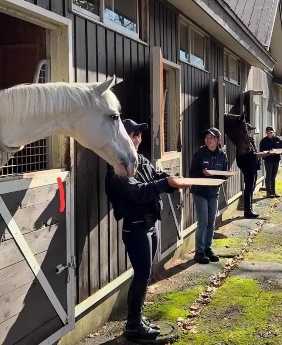 女の子画像 女の子画像