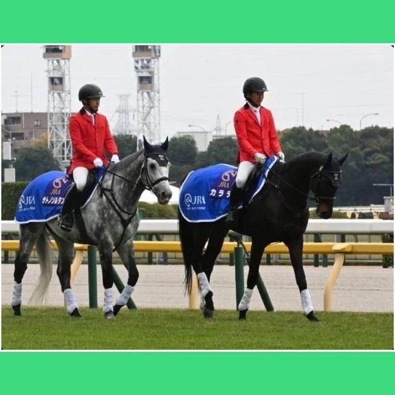 女の子画像 女の子画像