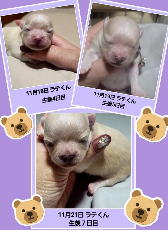 女の子画像 女の子画像