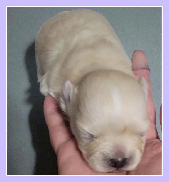 女の子画像 女の子画像