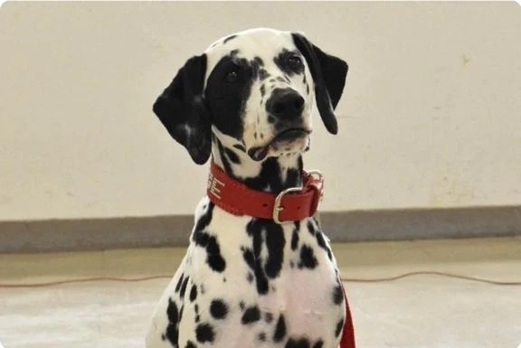 女の子画像 女の子画像