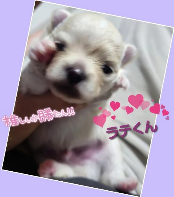 女の子画像 女の子画像