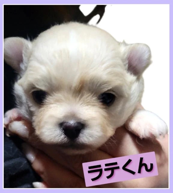 女の子画像 女の子画像