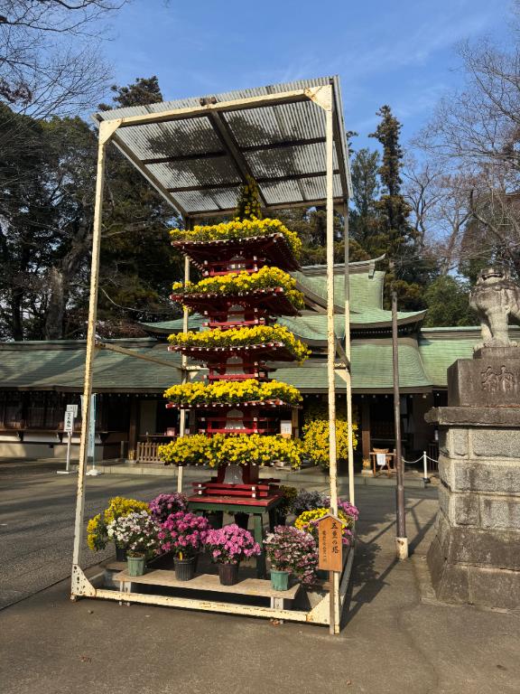 女の子画像 女の子画像