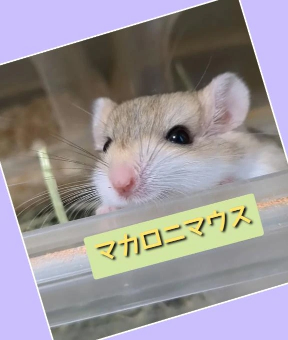 女の子画像 女の子画像